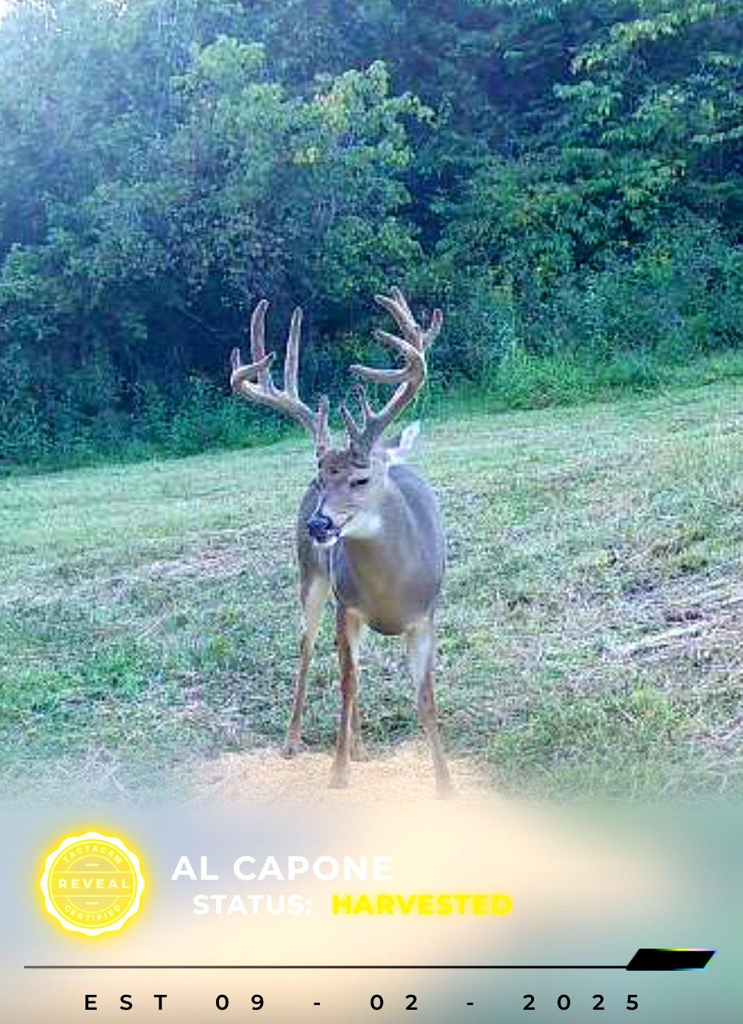 Image: rr_reed_5 copy